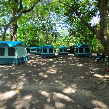 Happy Camping Arrecifes Dentro Del Parque Nacional Natural Tayrona El Coquito Exterior photo